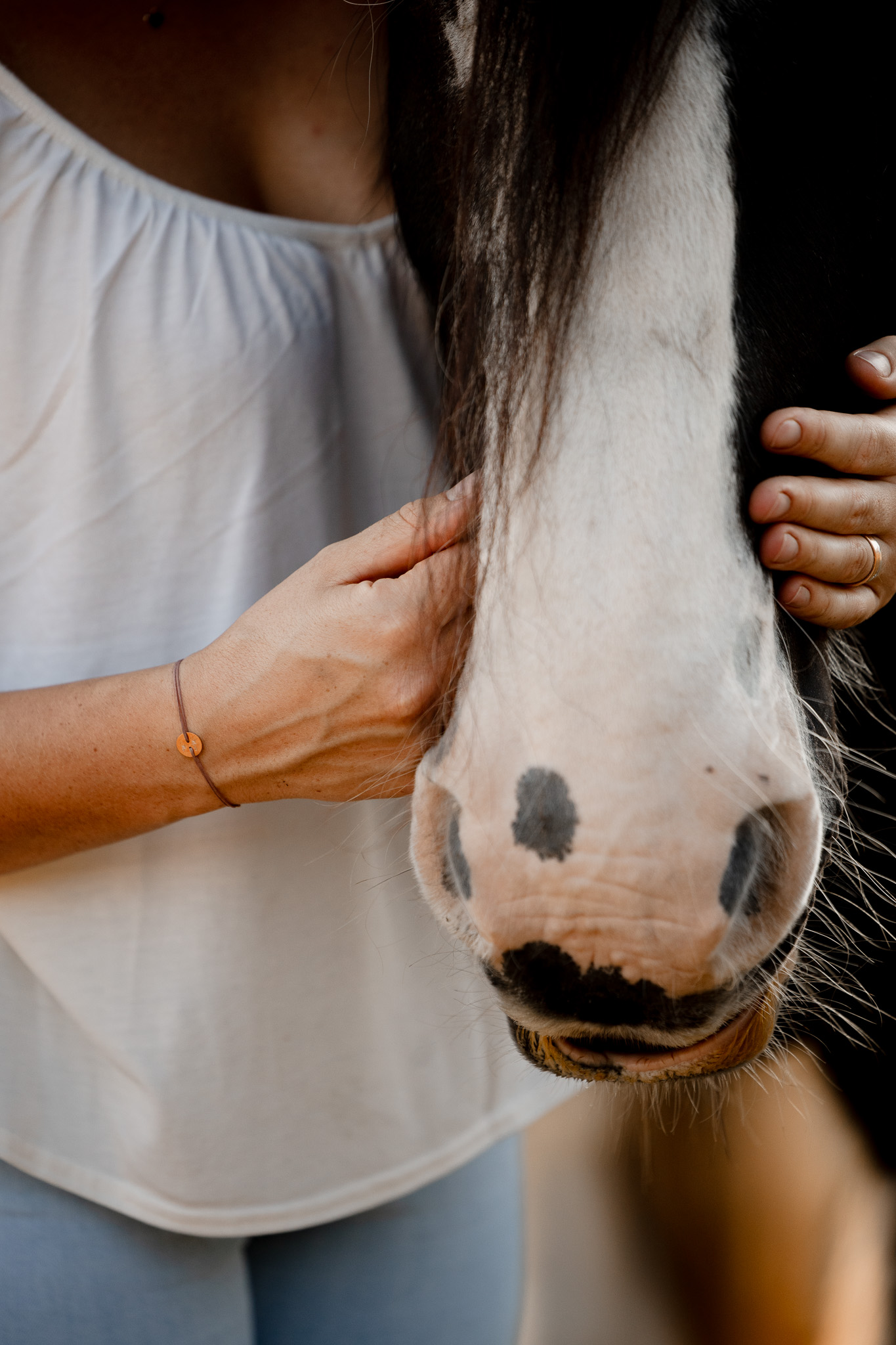 Fotoshooting mit Pferd