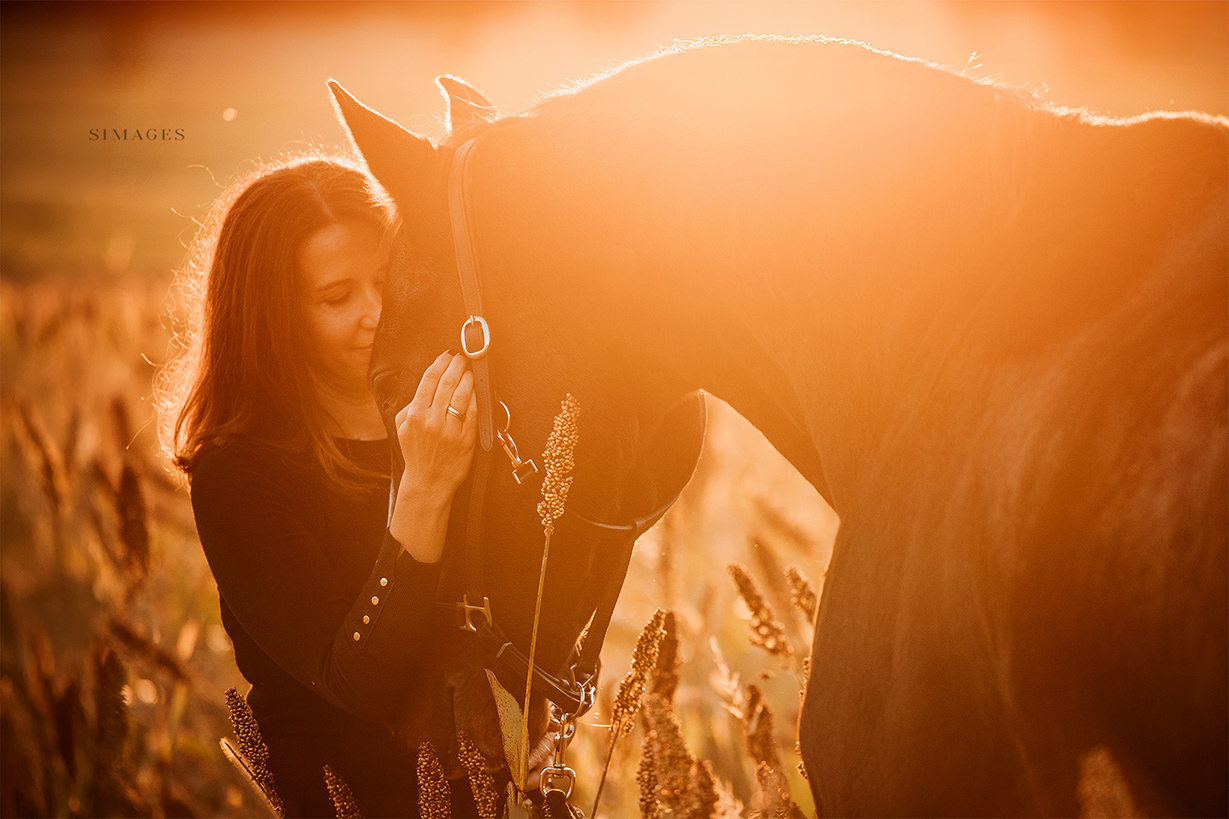 So läuft dein Shooting mit einer Tierfotografin ab